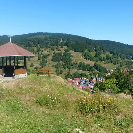 Ferienhaus am Löffelberghüttchen Gießübel Exterior foto