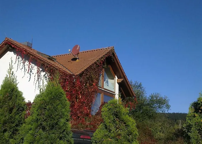 Ferienhaus Am Loeffelberghuettchen